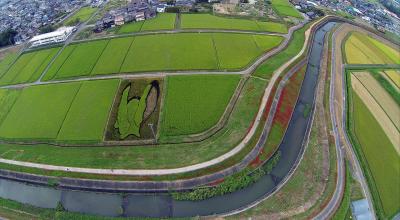 ２０１４空撮 ｉｎ 矢勝川彼岸花