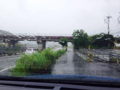 よさこい祭り。 台風に、ヒヤヒヤしながら、行きましたよー。