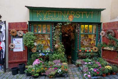 チェコ8日間のはずが9日間 プラハ城とマラー・ストラナ篇