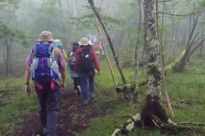 富士山麓ウォーキング　１回目だけ