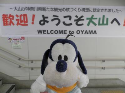 グーちゃん、大山登山へ行く！（猛特訓！仮想/屋久島の大山登山！編）