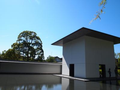 芸術の秋　金沢現代建築めぐり