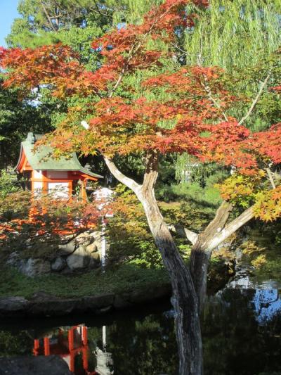 秋晴れの西大寺
