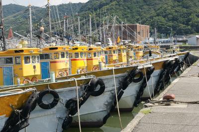 関西散歩記～2014 和歌山・有田市内編～