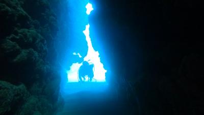 ダイビング＠奄美大島