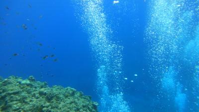 ダイビング＠沖縄