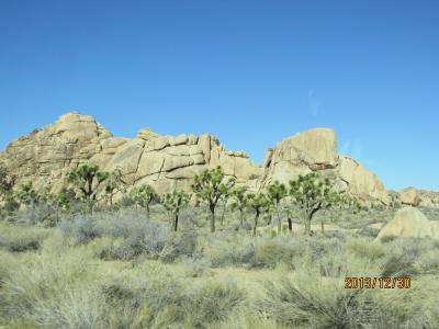 弾丸&の~んびり 年またぎUSA! (Parm Springs Joshua Tree National Park)