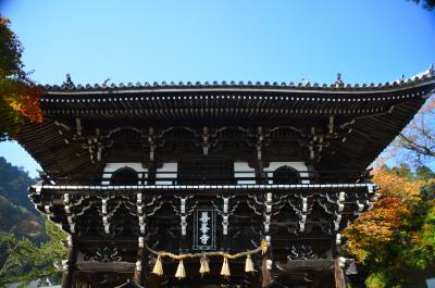 2013年 京都洛西紅葉巡り