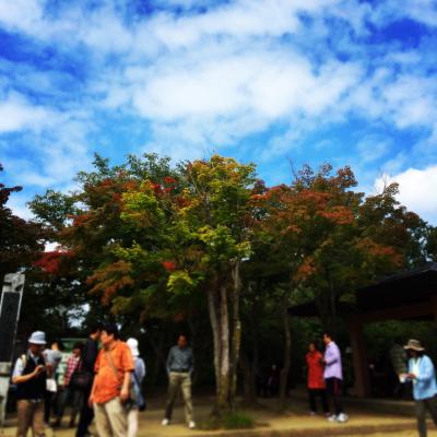 秋晴れ！高尾山で楽しい山歩き！