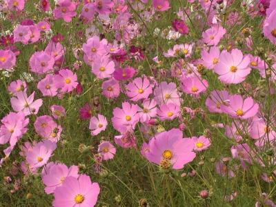 ちょこっと旅 2014 秋 長野&岐阜