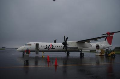 子ども連れで屋久島を満喫する旅③～ヤクスギランド編～