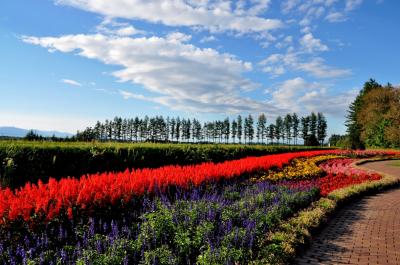 初秋の道東ドライブ紀行⑤・・足寄から本別を通り、池田町ワイン城⇒幸福公園⇒十勝川温泉へ・・・