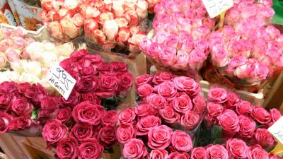 2014パリビビっ旅4