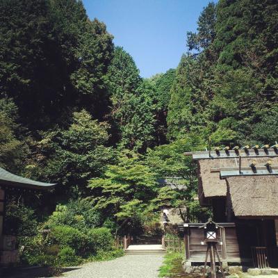 京都一人旅part1