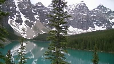 カナディアンロッキーの野生動物達との遭遇