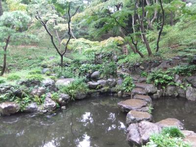 武蔵野の野草と湧水の殿ケ谷戸(とのがやと)庭園
