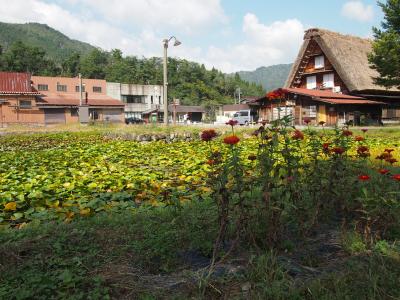 7年ぶりの高山旅行　part2