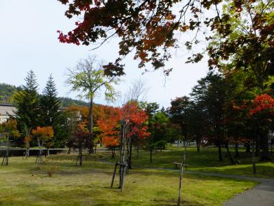 紅葉を探しに① 北海道~日高・十勝地方~