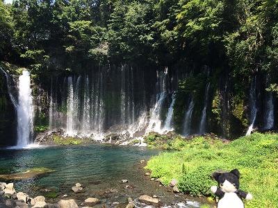 富士山見えなくても、富士五湖。