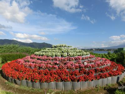 夏休みは富士山の麓！（1泊目-６）西湖から河口湖の大石公園へ