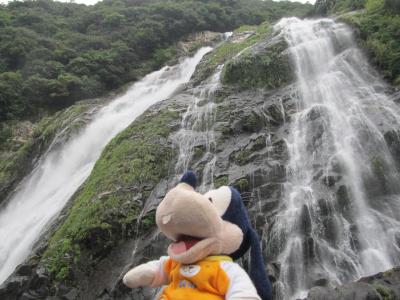 グーちゃん、屋久島へ行く！（ＧＦＧ認定！日本最強の滝/大川の滝！編）