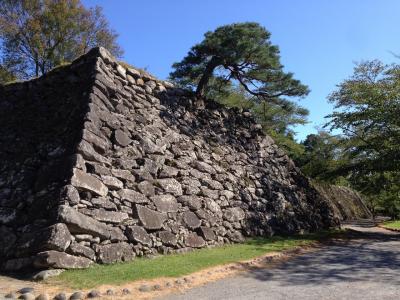長野のお城を巡る