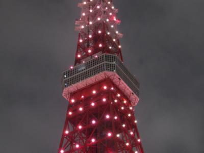 ピンクリボンフェスティバル2014　ピンクライトアップ東京タワー［2014/10/04（土）］　