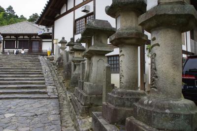 黄色いスニーカーが行く 日本探訪。その参 1,200年前の世界　奈良公園周辺。