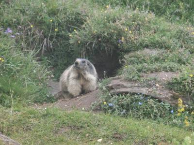 2014スイス・北イタリア vol.06 サースフェー①