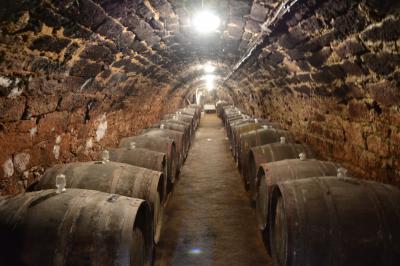 トカイアスーの産地・トカイでまったり1泊 ~ 美しい街並みとワインを求めてハンガリー北東部の旅2014 Vol.4