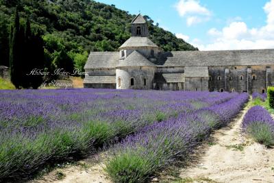 とことん自由に、あくまでも優雅にフランスJuilletの扉　Vol.6南仏リュベロンの絶景シンフォニー”ゴルド～ルシヨン～レ・ボー・ド・プロヴァンス”