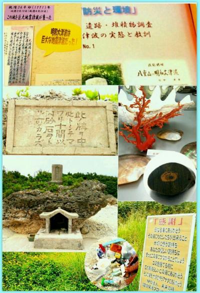 八重山列島メモ(中)…食・健康・歴史・自然