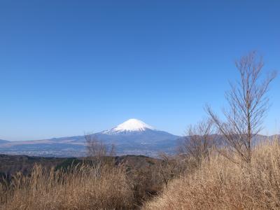 矢倉岳（足柄）からの富士山