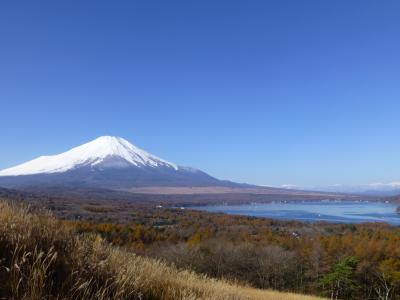 山中湖旅行記～富士山に恋い焦がれ～