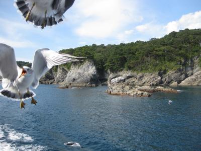 ●岩手縦断の旅　2日目：ウミネコに夢中の浄土ヶ浜&ひんやり龍泉洞●