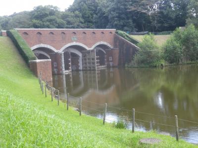 茨城・岩井の茨城県自然博物館を見学