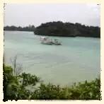 石垣島をバスでまわるには