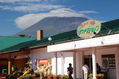 初めての小田急ロマンスカーでカフェくんと風菜ちゃんがいる富士サファリパークへ（２）白い帽子をかぶった富士山ほかいろんな富士山が見られた富士サファリパークいろいろ＆グルメ編