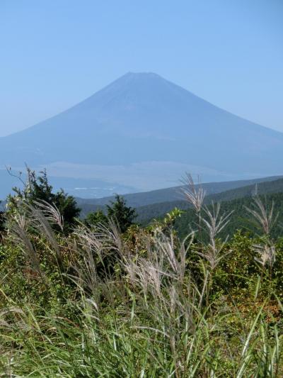 やっと、見れた！十国峠からススキと雲ひとつない富士山