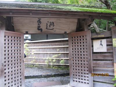 秋の箱根日帰り旅 天山温泉郷、仙石原すすき、箱根茶寮椿山荘