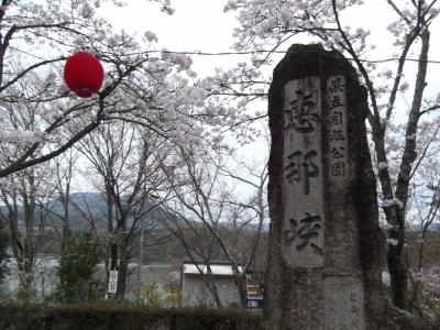 2015　3世代旅行＠恵那峡温泉～桜と魚と鉱物と～