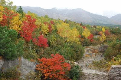 十勝岳で美しい彩りの紅葉を満喫（北海道）