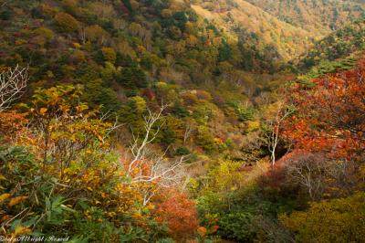 強風すぎた安達太良山登山&紅葉