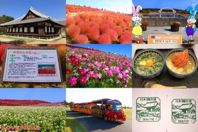 水戸城&ひたち海浜公園~コキアカーニバル~