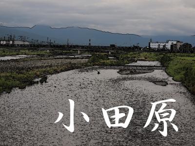 「東海道五拾三次」を歩く　　十、小田原 ～ 箱根