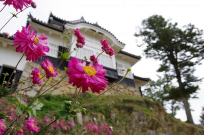 備中松山城に登城