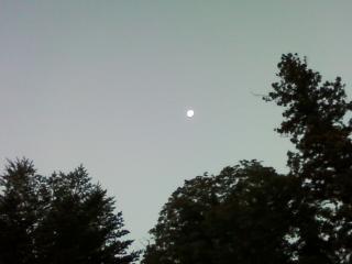 来夏への備え　週末別荘ライフ＠信州野尻湖　2014　10月　4