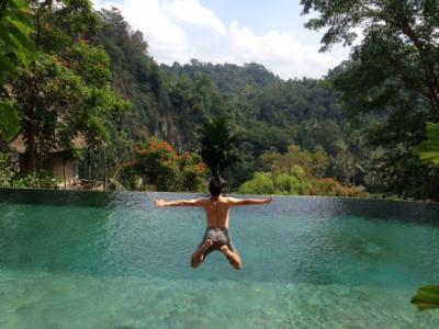 ボロブドゥール遺跡&バリ島ウブド 旅行記3 ウブド、ジャカルタ