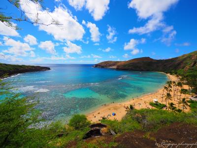 2014 夏　ちょっと野暮用でハワイまで　～仕事の合間にプチ観光～