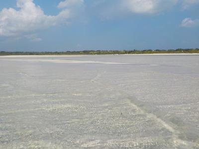 ☆心のオアシス　八重山諸島☆　竹富島＆小浜島（３日目）